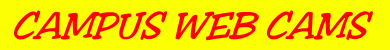 390x50 banner-c