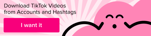 Download TikTok Videos